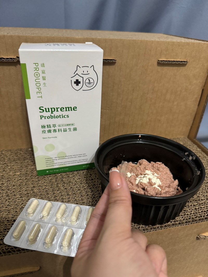 試用